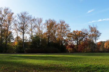 Obraz na płótnie Canvas Picturesque view of park with beautiful trees and green grass on sunny day. Autumn season