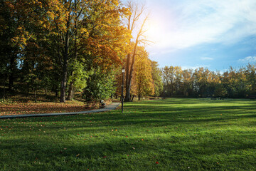 Naklejka premium Picturesque view of park with beautiful trees and green grass on sunny day. Autumn season