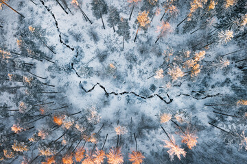 Drone photo of snowy trees and stream