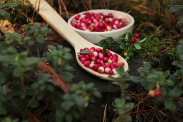 Delicious ripe red lingonberries in wooden spoon outdoors