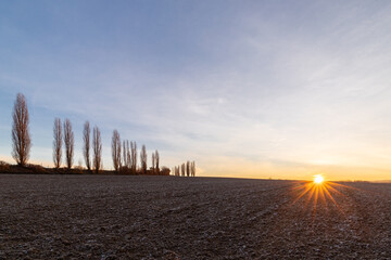 A spectacular sunrise with sunbeams over the rolling hills in an Italian landscape with the typical...
