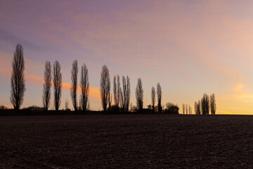 A spectacular sunrise with sunbeams over the rolling hills in an Italian landscape with the typical...