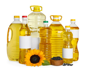 Bottles with sunflower cooking oil, seeds and yellow flower on white background
