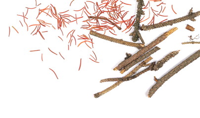 Autumn conifer yellow leaves, foliage pile and twigs isolated on white, top view 