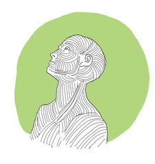illustration of a human, lineal