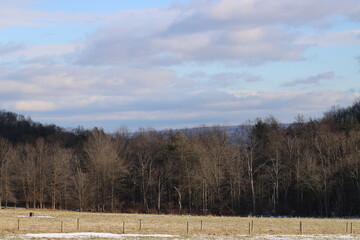 Winter round the Valley today.