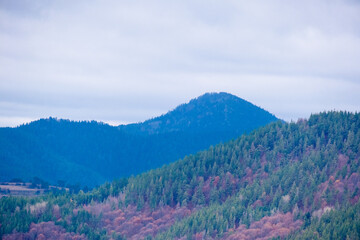 Amazing view of Magnificent autumn carpet in The Rhodope mountains