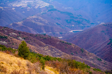 Naklejka premium Amazing view of Magnificent autumn carpet in The Rhodope mountains