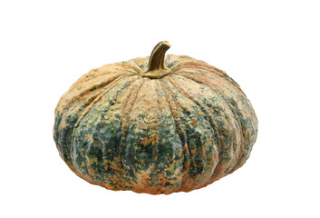 Pumpkin isolated on transparent background png file