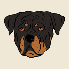Rottweiler dog - vector illustration