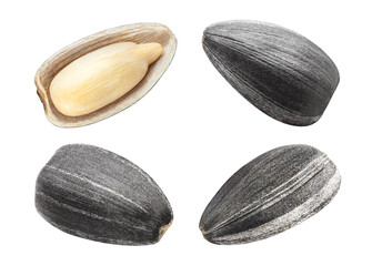 Set of sunflower black seeds, isolated on white background