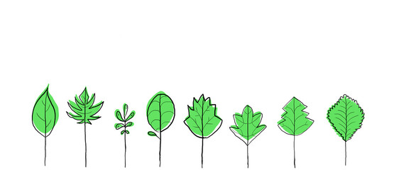 Ilustración de hojas minimalistas organizadas, banner muy bonito