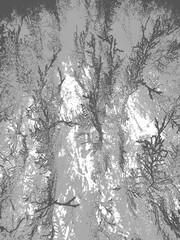 winter forest background gray Illustrations 
