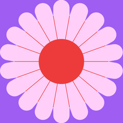 Obraz premium Daisy flower in square vector illustration in flat color design