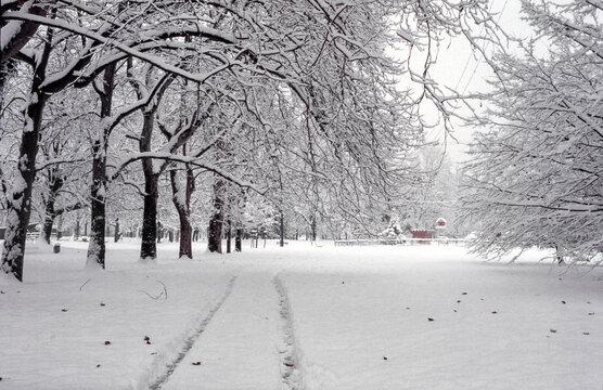 Milan: Sempione park with snow