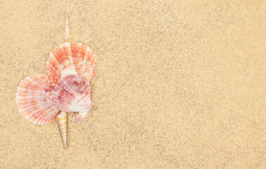 Fototapeta na wymiar Heart made of pink sea shells on sand with space for text. Valentine's Day. Copy spcae