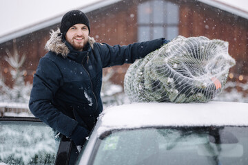 Handsome man tying to put a Christmas tree to the roof of the car to bring it home. Live fir tree...