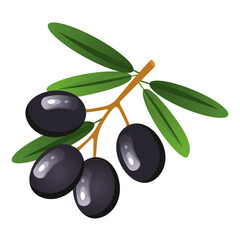 Vector set with black olives. Twigs with olives with leaves, individual berries. The concept of vegetables and healthy eating.