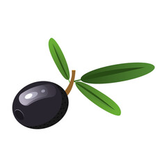 Vector set with black olives. Twigs with olives with leaves, individual berries. The concept of vegetables and healthy eating.