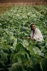Shot of a young woman tending to the crops on a farm. Smiling tired black woman working in the field