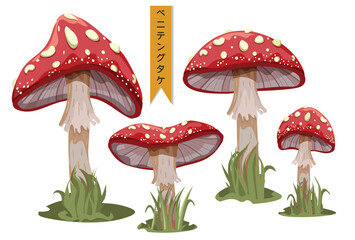 vector book illustration, fly agaric of different shapes and sizes, forest mushrooms in the grass