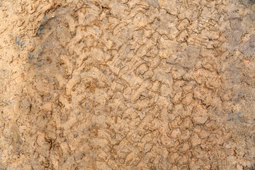 Traces of tire treads on the ground. Imprint tires on wet clay. Brown dirt with traces from the wheels of the SUV. 