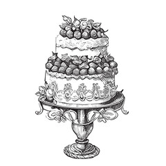 Birthday cake with berries and cream hand drawn sketch Vector illustration.