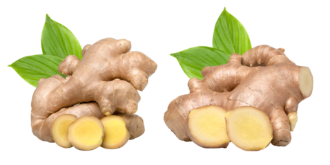Close-up, Fresh ginger rhizome and sliced with green leaves isolated, transparent png, collection, PNG format, cut out.