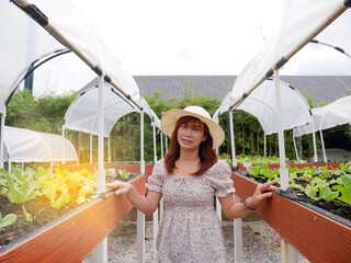 The woman in the vegetable farming with yellow light background.