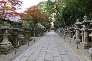 A Japanese shrine in Kyoto : a scene of the access to the precincts of Iwashimizu-hachimangu Shrine 京都にある日本の神社：岩清水八幡境内への参道の一風景