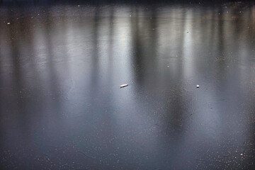gefrorener See im Winter mit Spiegelungen von Bäumen