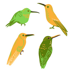 vector drawing humminhbirds, hand drawn illustration of tropical birds