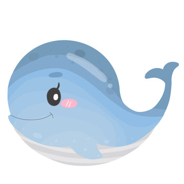 Cute whale cartoon, sea animal illustration