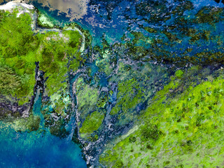Top view of river backwater with beautiful textured vegetation. Texture. Background