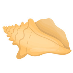 Colorful tropical shells underwater illustration