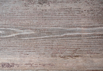 Fototapeta premium wood texture with old paint