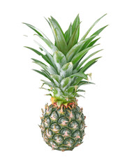 Obraz premium Pineapple on transparent png