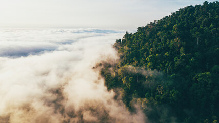 Sea clouds during golden sunrise covering the rainforest hill in Lenggong, Perak.
