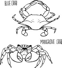 Crab black and white vector set isolated on a white background.