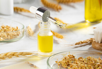 Bottle of body oil with a dropper. A conceptual composition of wheat essential oil, a bath brush...