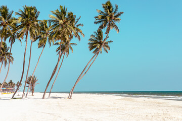 Al Haffa beach at Salalah, Sultanate of Oman.  - obrazy, fototapety, plakaty
