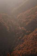 Red and orange warm sun illuminates the orange-red forest. Mojtin, Strazov mountains, Slovakia, Eastern Europe. Autumn colourful woods