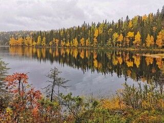 Colorful yellow and green trees on the lake shore in cloudy day. Beautiful autumn tranquil landscape. Paanajarvi National Park, Karelia.