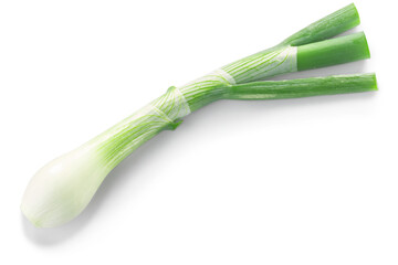 Leek  or green spring onion stem with bulb isolated png, top view