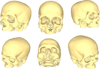 white background Skull Head vector design