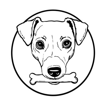 jack russell terrier dog logo face portrait in a circle in a frame, bone in dog's mouth, line art, vector illustration