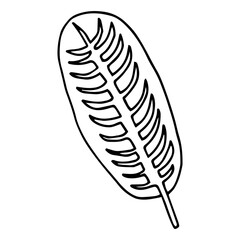 Banana fruit tropical leaf hand drawn sketch. Exotic palm tree icon. Realistic vector illustration isolated on white background. Black ink line handdrawn art. For temporary tattoo, t shirt print