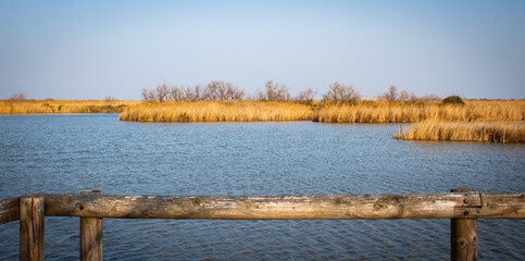 Fototapeta na wymiar Wood barrier in front of an empty lake in swamp