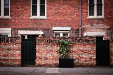 Old brick building, wall and bush in urban environment.