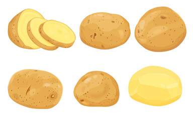 set of Potatoes vector illustration. isolated on white background. Vector eps 10. perfect for wallpaper or design elements